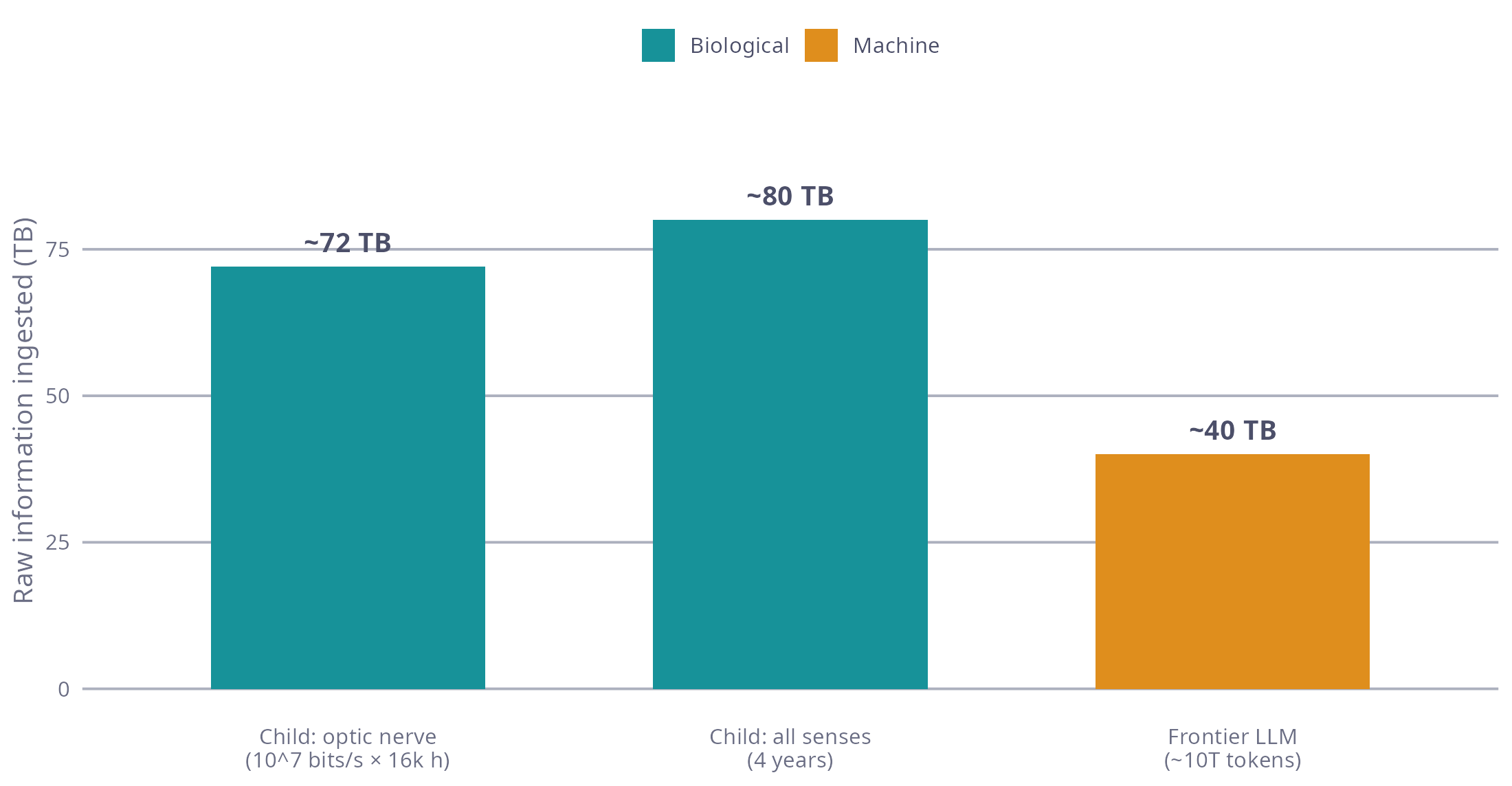 Catppuccin Latte bar chart: a four-year-old's optic-nerve (~72 TB) and all-senses (~80 TB) intake next to a frontier LLM's ~40 TB training corpus. The bars sit at the same order of magnitude.